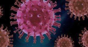 virus-4937553_1920-300x160